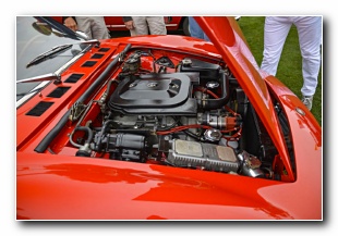 Click to enlarge Courtesy of the NAACC <br>www.naacc.ca<br>photo by Cam Hutchins